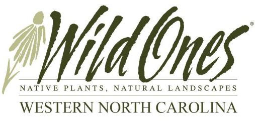 WNC Chapter of Wild Ones